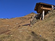 14 Baitello panoramico  ingresso a Casera Ancogno (1650 m)